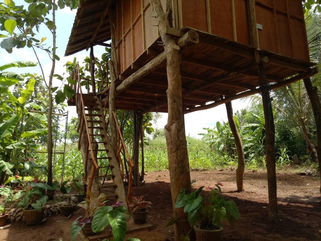 Hotel Sigiri Aliya Tree House Sigiriya Exterior foto