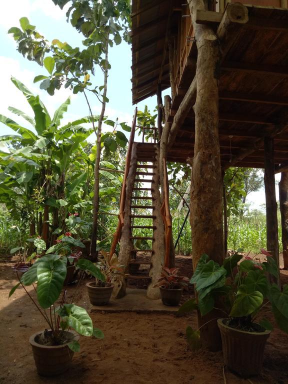 Hotel Sigiri Aliya Tree House Sigiriya Exterior foto