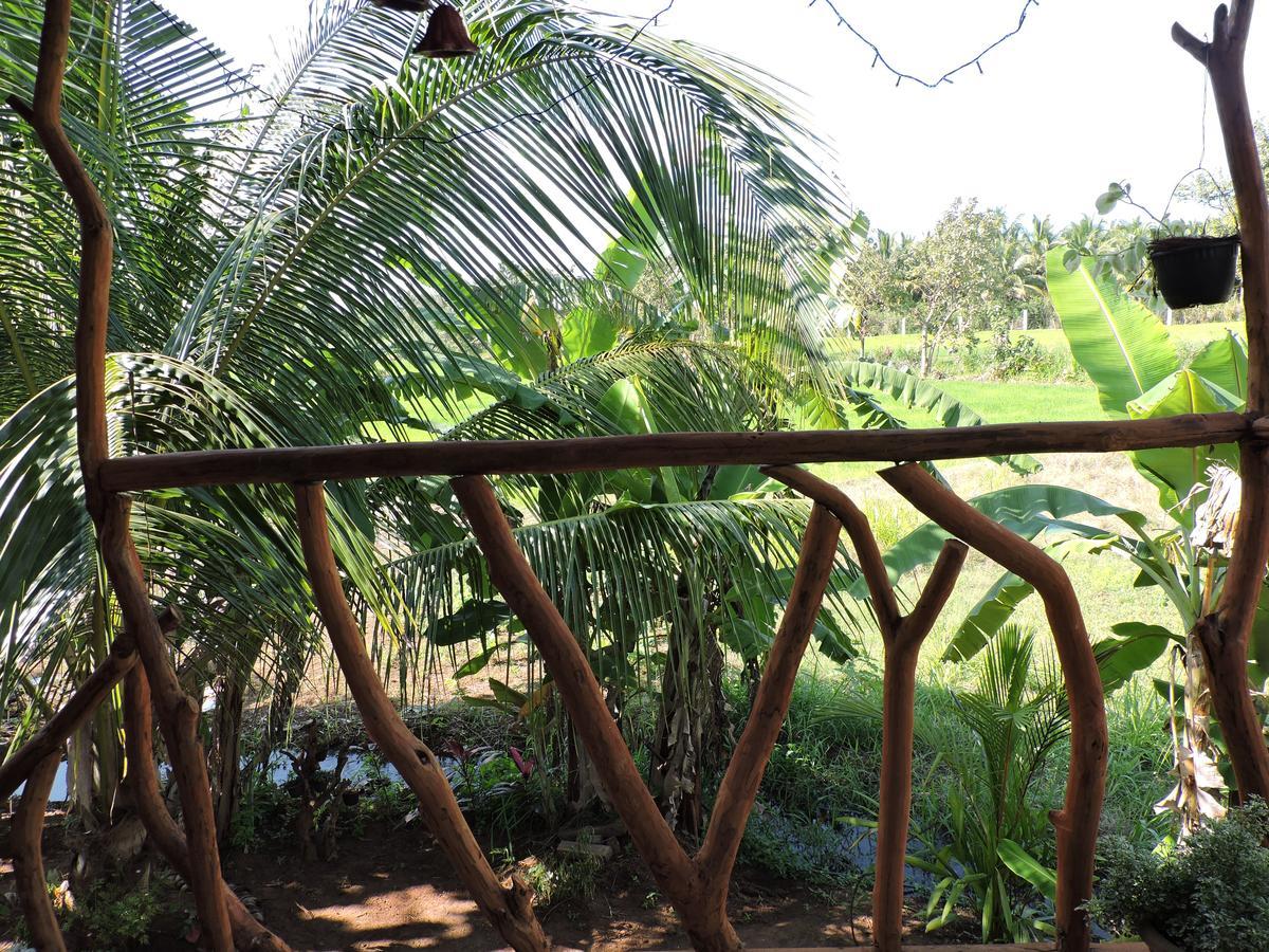 Hotel Sigiri Aliya Tree House Sigiriya Exterior foto