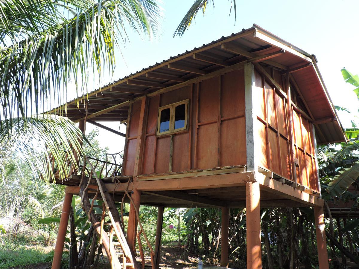 Hotel Sigiri Aliya Tree House Sigiriya Exterior foto