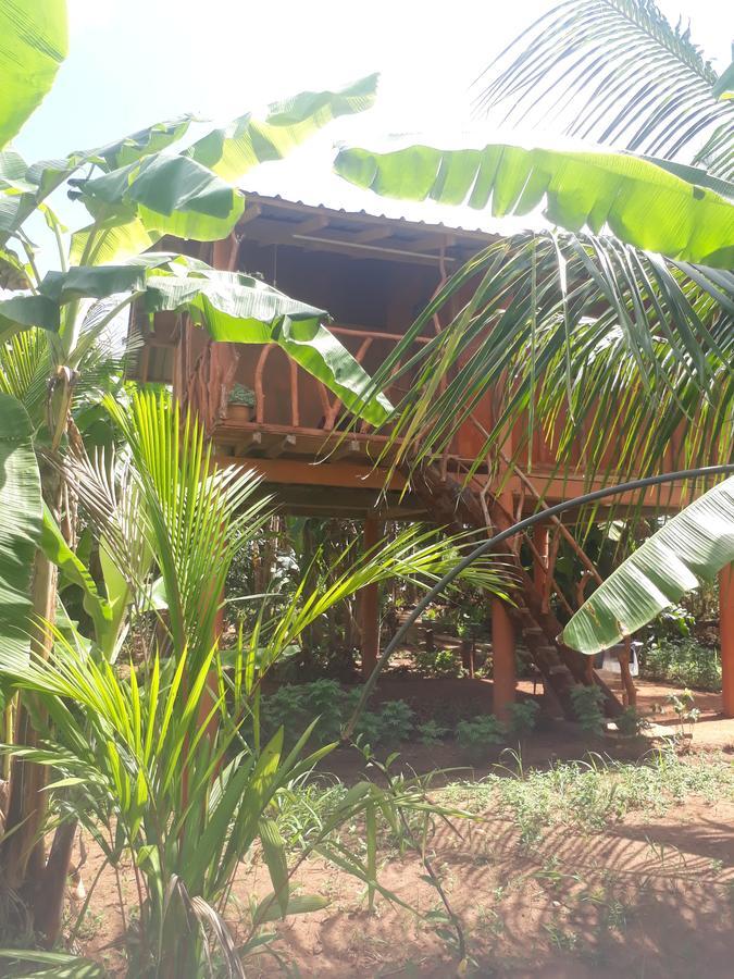 Hotel Sigiri Aliya Tree House Sigiriya Exterior foto