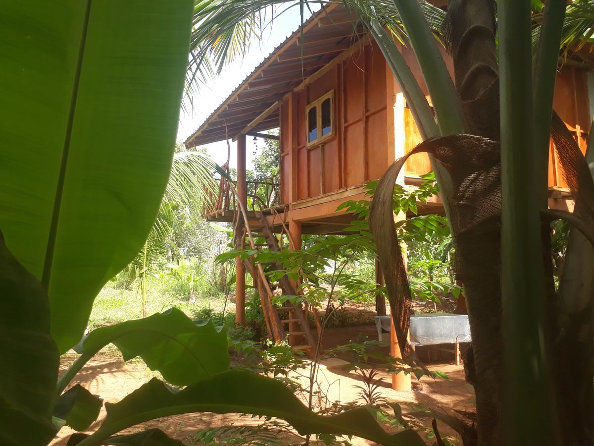 Hotel Sigiri Aliya Tree House Sigiriya Exterior foto