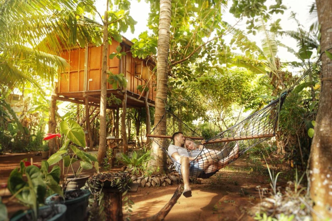 Hotel Sigiri Aliya Tree House Sigiriya Exterior foto