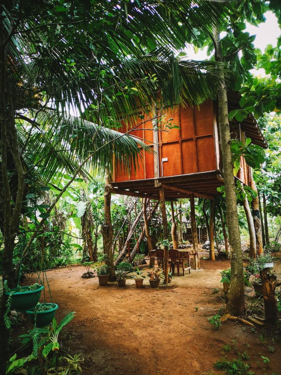 Hotel Sigiri Aliya Tree House Sigiriya Exterior foto